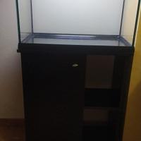 acquario + stand