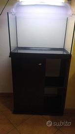 acquario + stand