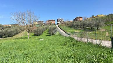 TER. RESIDENZIALE A FONTE NUOVA