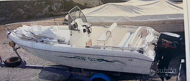 Capelli CAP 500 + Evinrude 40CV + Carrello