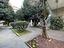 Immagine 21