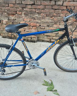bicicletta uomo