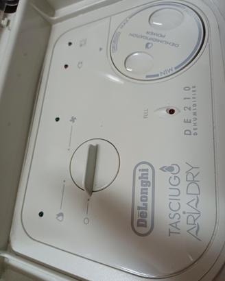 DE LONGHI DEUMIDIFICATORE professionale usato