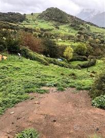 RGE 30/2014 Trib Patti - LOTTO 3