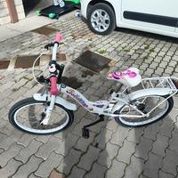 bicicletta bambina 20 pollici 