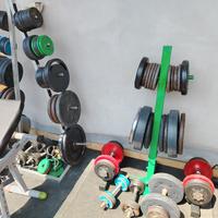 Pesi e dischi da palestra 