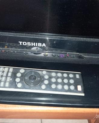 Televisore a muro - Toshiba
