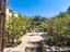 Immagine 27