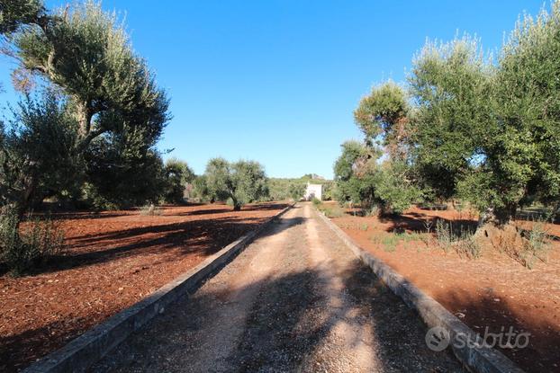 Vendita terreno con vano c.da Cuoco Martina Franca