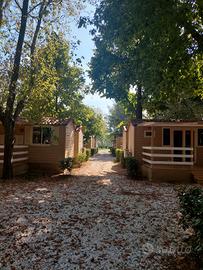 Bungalow in Sarzana/Ameglia