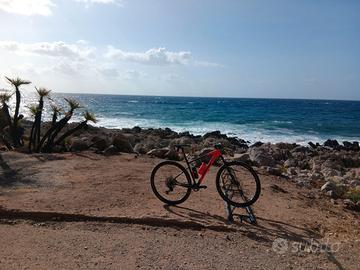 mountain bike cannondale
