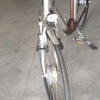 bicicletta elettrica