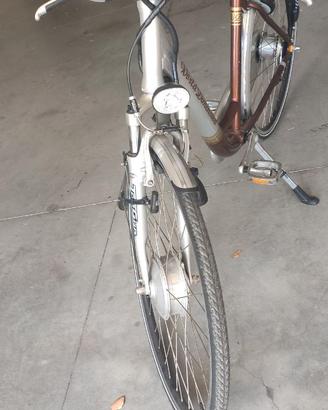 bicicletta elettrica
