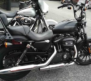 Harley Davidson 883 Iron