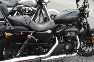 Harley Davidson 883 Iron