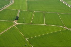 Produrre RISO : Lavoro e/o Investimento