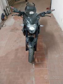 benelli bn125