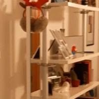 Libreria stolmen con specchiera