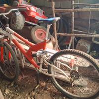 bicicletta 26