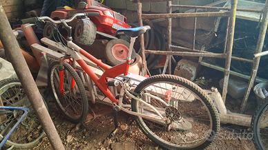 bicicletta 26