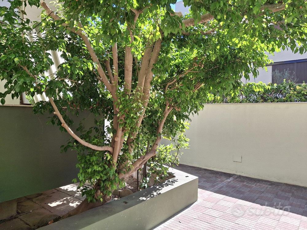 Appartamento – Alghero, Sant'Anna, La Cunetta - Vista 4