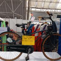 Bicicletta mono design dart