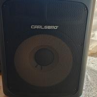 Subwoofer 600 watt 