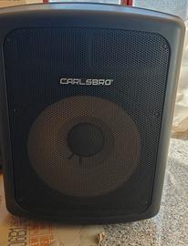 Subwoofer 600 watt 