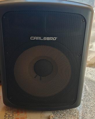 Subwoofer 600 watt 