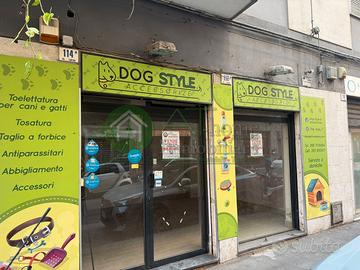 Bottega due luci Via Canfora CATANIA