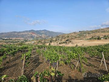 Terreno - Bronte