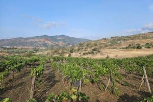 Terreno - Bronte
