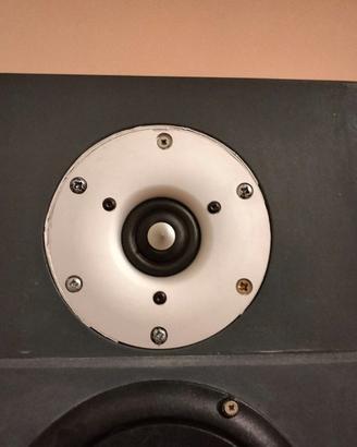 Tweeter Scan speak revelator R2904/700000