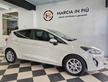 Ford Fiesta 1.0 125 CV 5 p. Titanium (DISTRIBUZION