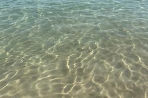 Ostuni puglua salento mare di settembre si animali