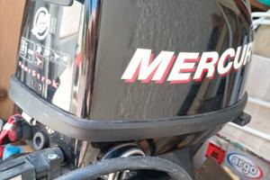 Ligni 3.75 con Fuoribordo 4 Tempi Mercury 5 Cv