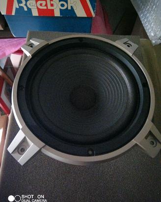 Woofer  Pioneer 