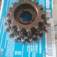 Ruota libera filettata Regina oro 6 rap ti 13 /20