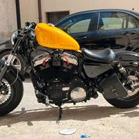 Harley davidson 1200 forty eight