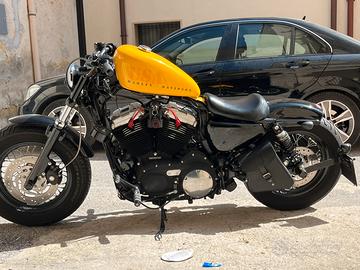 Harley davidson 1200 forty eight