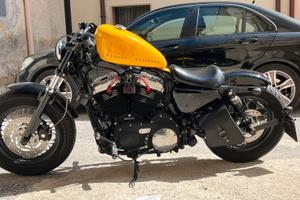 Harley davidson 1200 forty eight