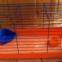 Gabbia Trasportino Roditori Coniglio cm. 50x30x31