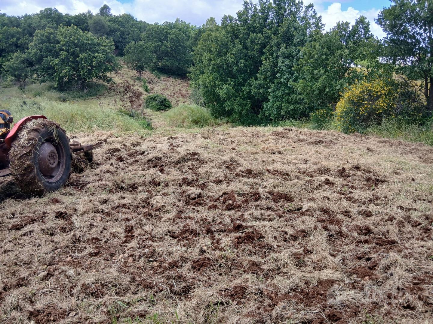 terreno seminativo con pozzo - Vista 4
