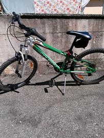 Bicicletta da ragazzo