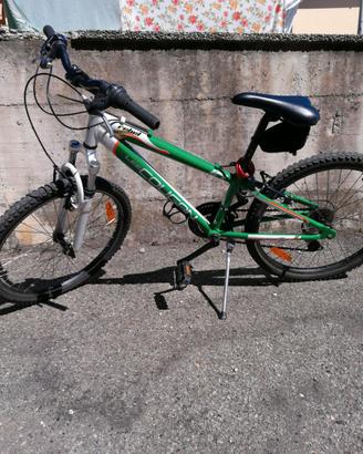 Bicicletta da ragazzo