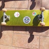 Skateboard 