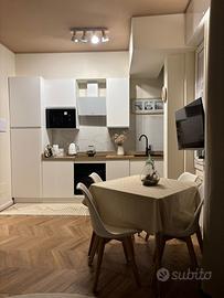 Monolocale ristrutturato con stile Metro M1