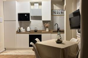 Monolocale ristrutturato con stile Metro M1