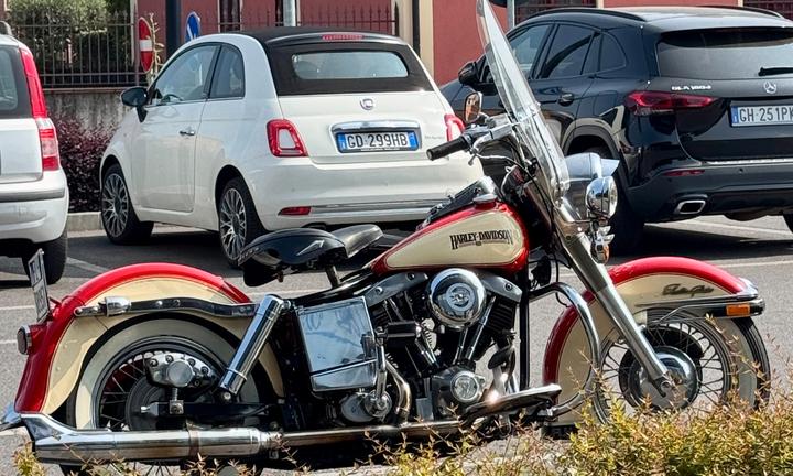 Harley-Davidson Electra Glide - 1979 FLH