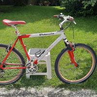 Primula coach ruote 26 taglia L